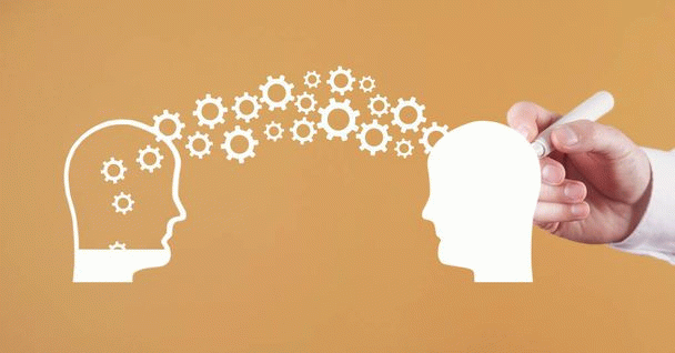 سیر تا پیاز نگهداری سگ شیتزو: ۱۴ نکته مهم و کاربردی